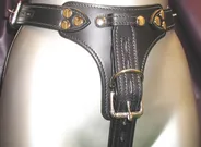 Butt Plug Harness